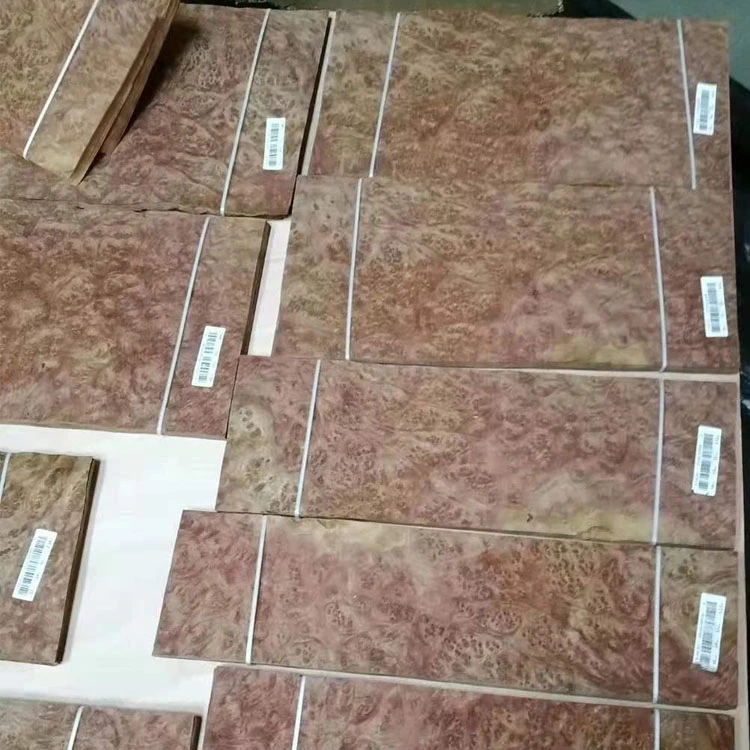 Kanfor Burl Laparans